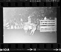 Bill Earle on Bull #19