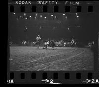 Duwayne Martin Steer wrestling, 7.9 Sec