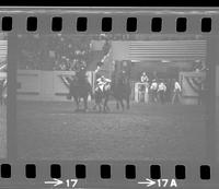 Walt Linderman Steer wrestling