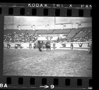 Joe Lowrance Calf roping, 11.6 Sec