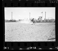 Edsel Rhodes Calf roping