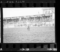 [Unidentified Rodeo clown]