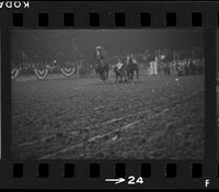 [Unknown Steer wrestler]