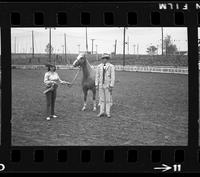 [Unknown horse show]