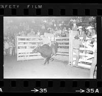 Gary Leffew on Bull #4