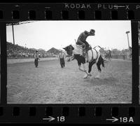 Jerry Saffold on Cochise