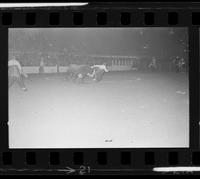 Rodeo clowns Bull fighting with Bull #36