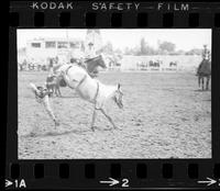 [Unidentified young boy wrecking]