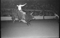 Tommy Merritt on Bull #011