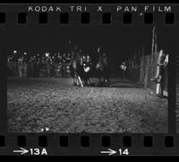 Bob Denny Steer wrestling