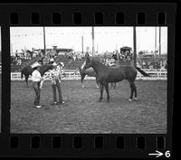 [Unknown horse show]