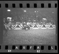 [Unknown Saddle bronc rider]