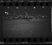 Sonny Worrell Steer wrestling, 5.09 Sec