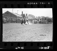 Bill Cunningham Calf roping