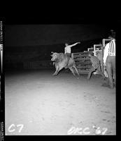 Kenny Thedford on Bull #45