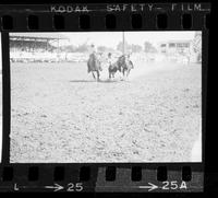 Jack Roddy Steer wrestling, 21.4 Sec, Totals for 3 = 44.5