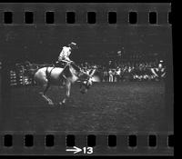 [Unknown Saddle bronc rider]