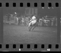 [Unknown Bareback rider]