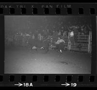 Kajun Kid & John Routh Bull fighting