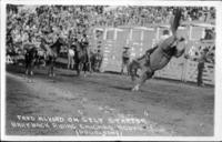 Fred Alvore on "Self Starter" Bareback riding Chicago rodeo