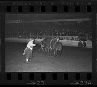 [Unknown Bull rider]