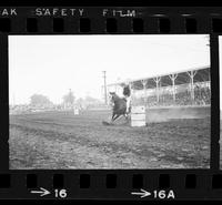 Tammy Bohlander Barrel racing