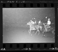 Unidentified Polo players