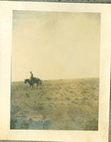 [Cowboy on horse, possibly bronc riding]
