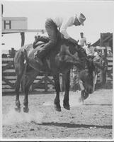 J.E. Ranch Rodeo Waverly, N.Y. early 1930's