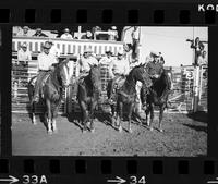 [Unknown Cowboys on horseback]