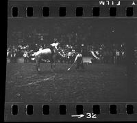 [Unknown Bull rider]