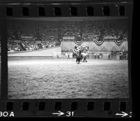 Tom Young Calf roping