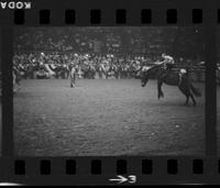 [Unknown Bareback rider]