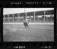 [Unknown Bull rider]