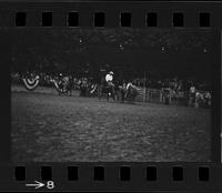 [Unknown Steer wrestlers]