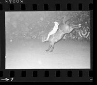 [Unknown Bareback rider]