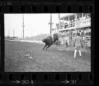Danny Weekley on Bull #00