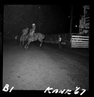 Frank Strout on Saddle bronc #204