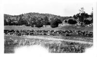 Quarter Circle U Ranch Roundup 1928