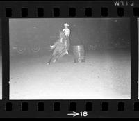 [Unknow Barrel racer]