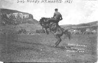 George Bird on Jeronamo, Mt. Harris 1921 2nd money