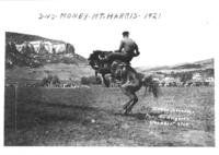 George Bird on Jeronamo, Mt. Harris 1921 2nd money
