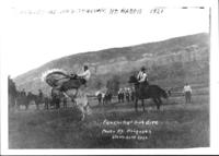 Henry Sweeney, he was thrown, Mt. Harris 1921, Pershing's high dive