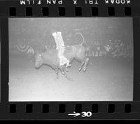 [Unknown Bull rider]