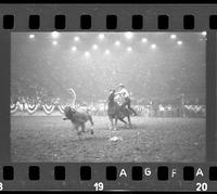 [Unknown Calf roper]