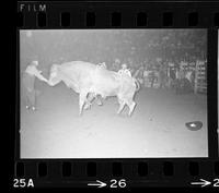 Bob Howard on Bull #22