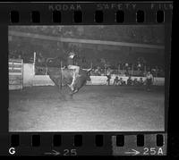 [Unknown Bull rider]