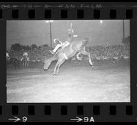 Tex Martin on State Fair