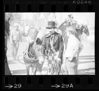 Rodeo clowns with mule