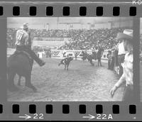 John Clem & Lloyd Russell Team roping